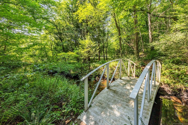 view of community featuring a forest view