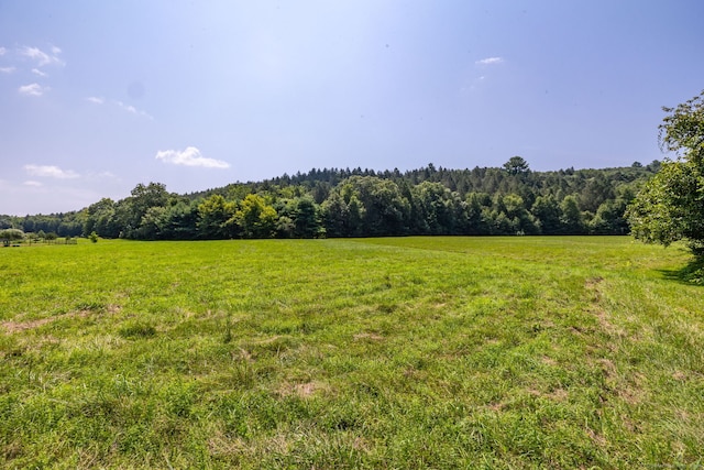 view of local wilderness with a rural view and a forest view