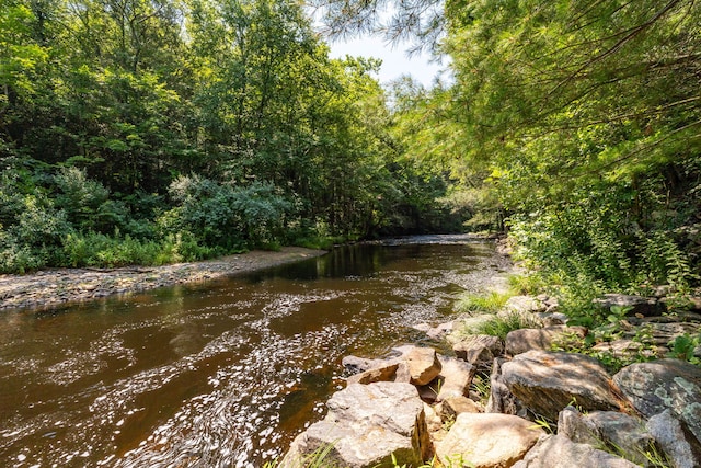 view of water feature featuring a wooded view