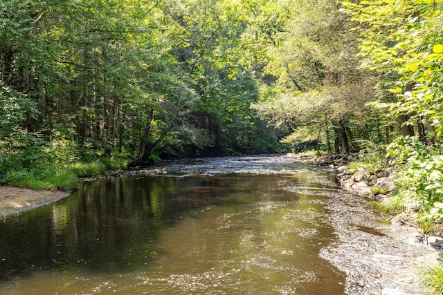 property view of water with a view of trees