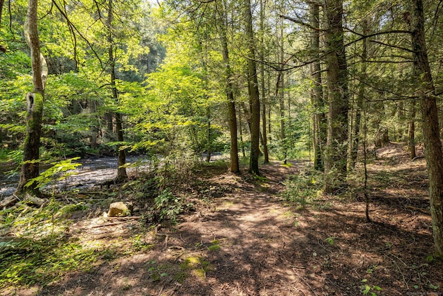 view of local wilderness featuring a forest view