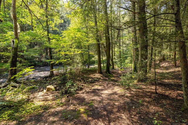 47 Jeremy River Dr, Colchester, CT 06415 - view of wooded area