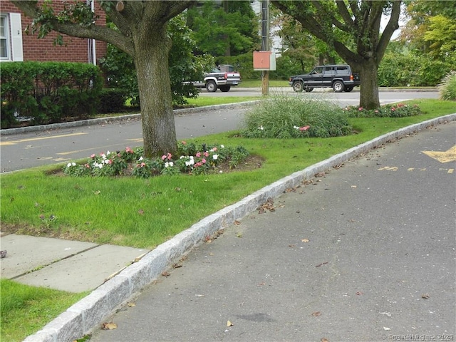 view of street with curbs