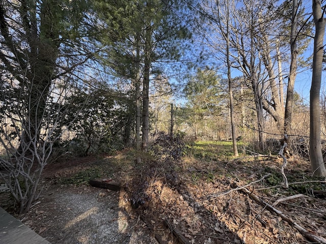 view of local wilderness