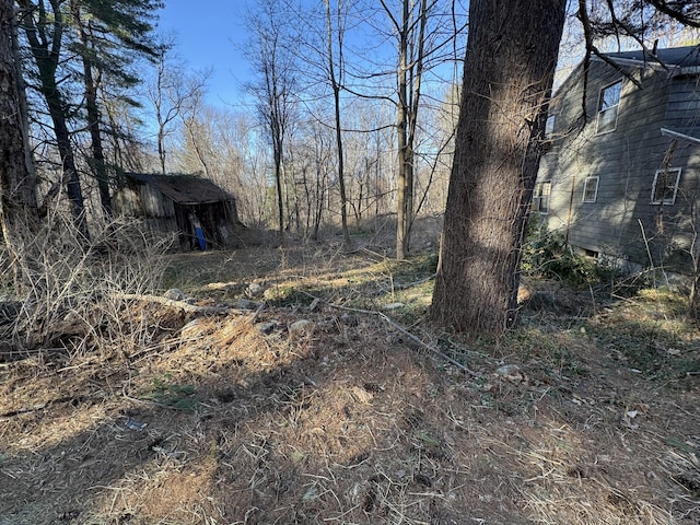 view of yard featuring an outbuilding