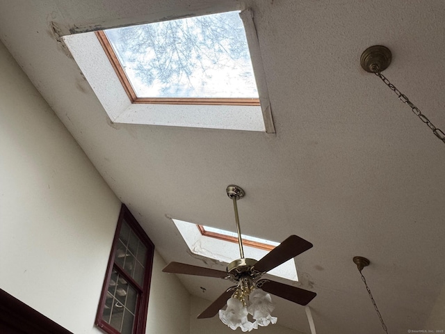 interior details with a skylight and a ceiling fan