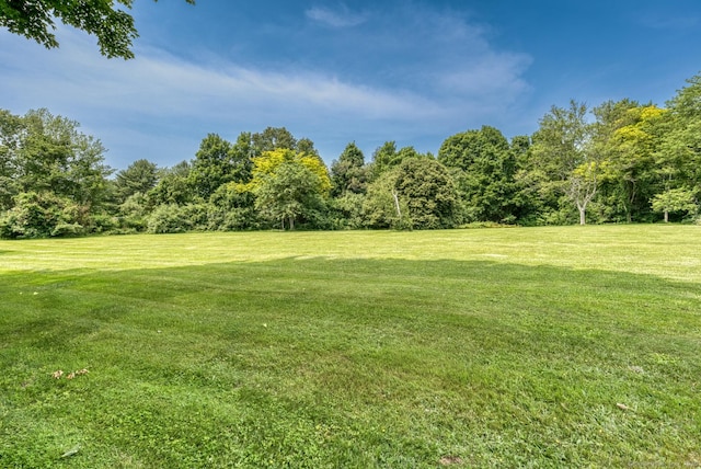 673 Spring St, Manchester, CT 06040 - view of green lawn