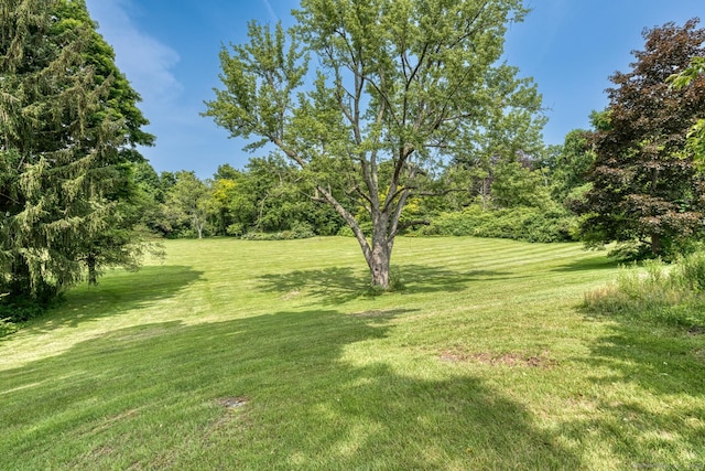 673 Spring St, Manchester, CT 06040 - view of grassy yard featuring view of scattered trees