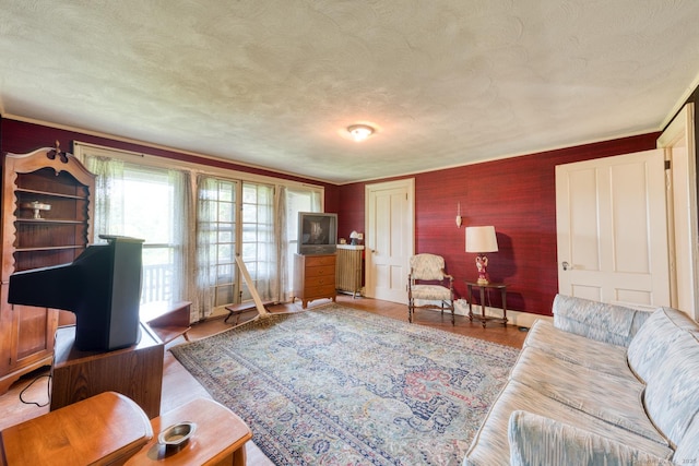 673 Spring St, Manchester, CT 06040 - living room featuring a textured ceiling and wood finished floors