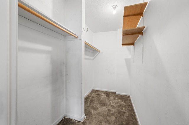 walk in closet featuring carpet floors