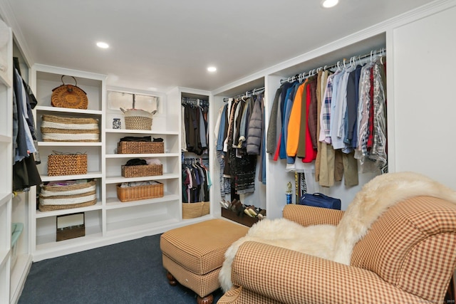 spacious closet featuring carpet floors