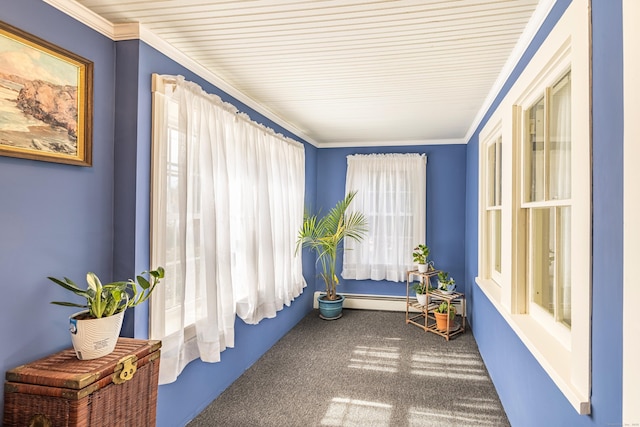 sunroom / solarium with a baseboard radiator