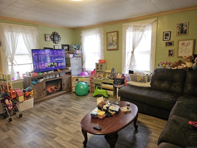 living area featuring a glass covered fireplace, wood finished floors, and crown molding