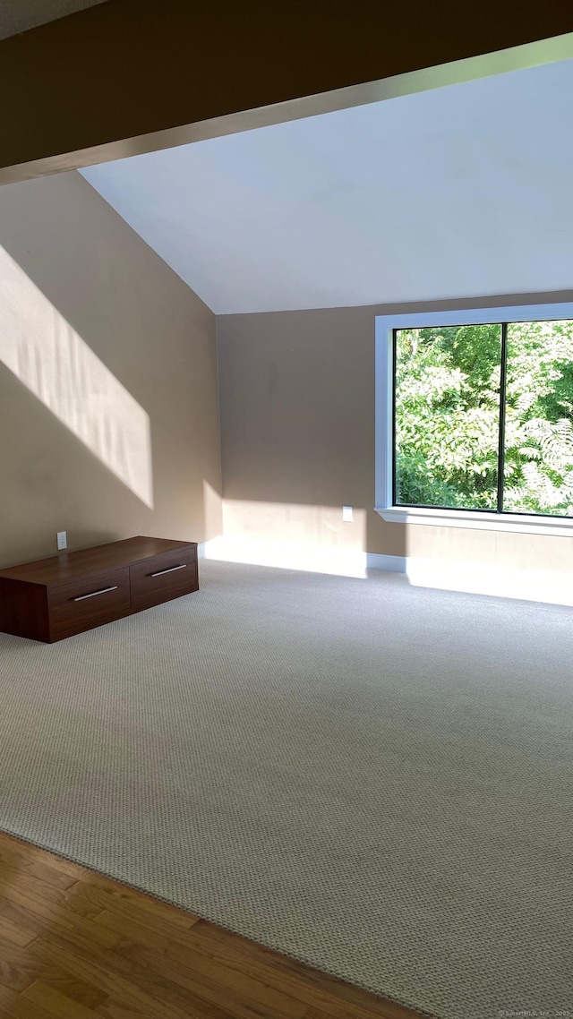 additional living space with wood finished floors