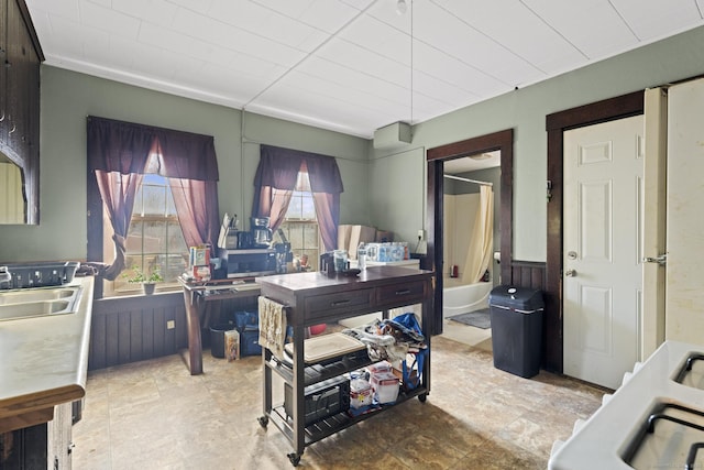 office space with a sink, a healthy amount of sunlight, and wainscoting