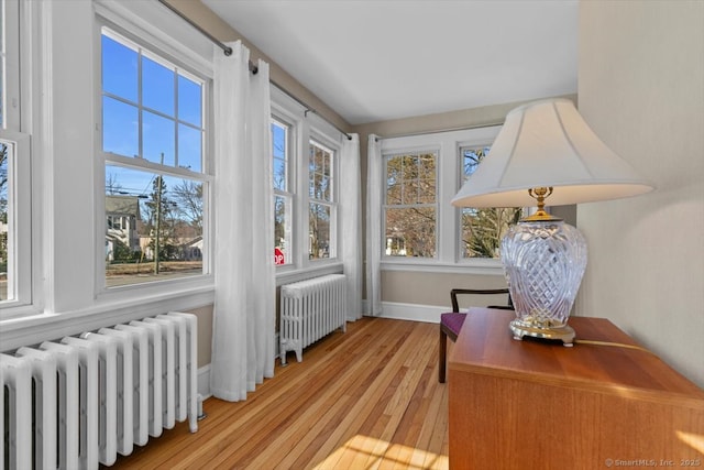 sunroom / solarium with radiator