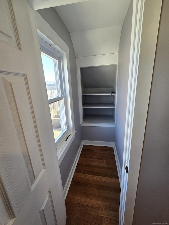 walk in closet featuring wood finished floors