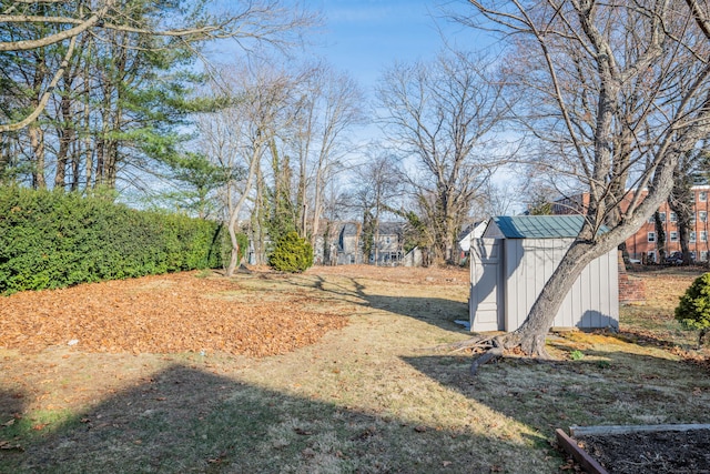 view of yard featuring an outbuilding and a storage unit