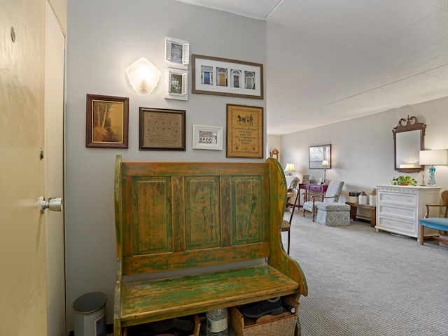 bedroom featuring carpet flooring