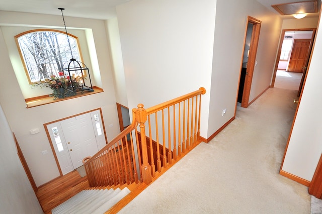 entrance foyer featuring a wealth of natural light, baseboards, and carpet