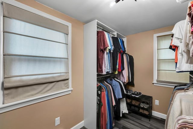 spacious closet with wood finished floors