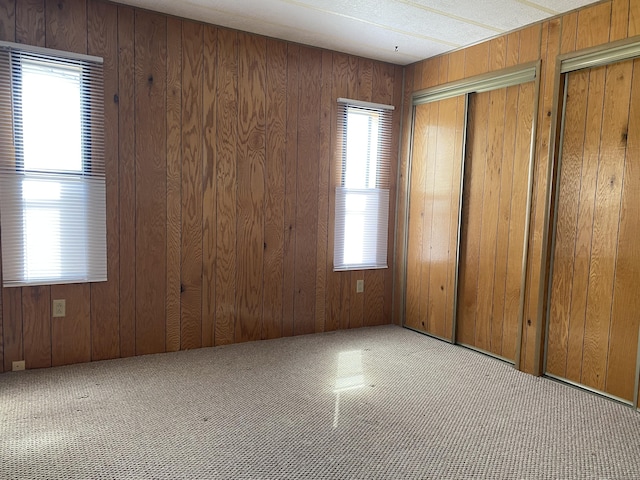 unfurnished room featuring wooden walls and carpet flooring