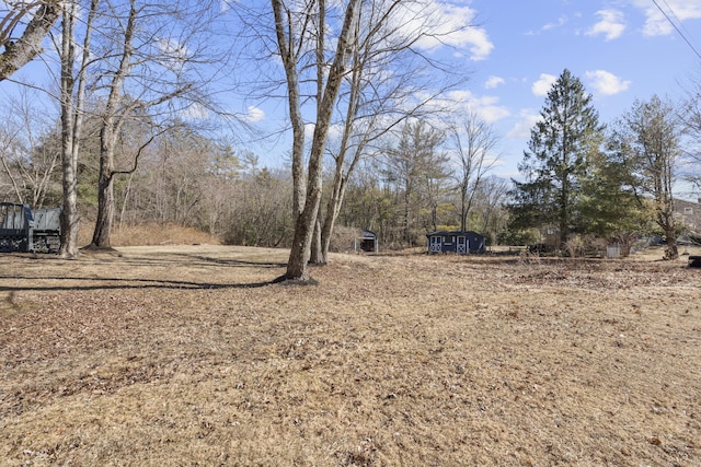 view of yard with an outbuilding