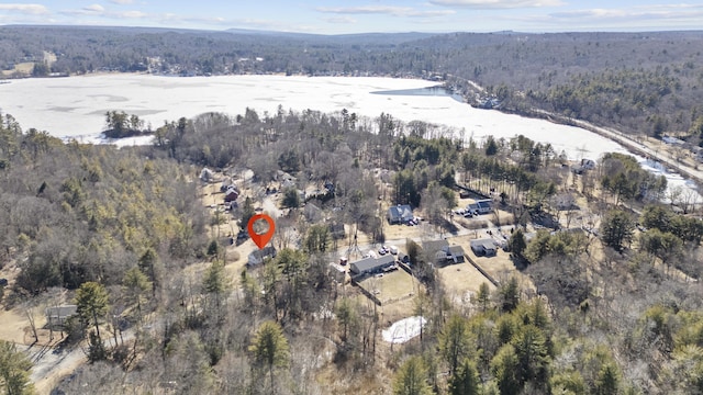 drone / aerial view with a wooded view and a water view