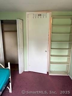 interior space featuring dark colored carpet and two closets