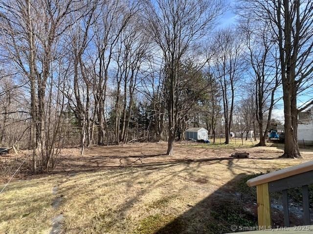 view of yard featuring a storage shed and an outbuilding