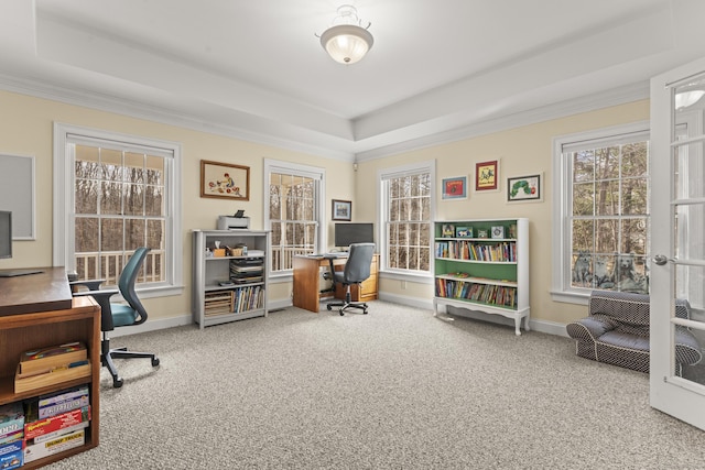 office with a wealth of natural light, a tray ceiling, and carpet floors