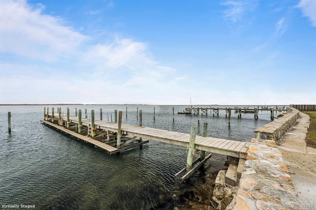 dock area with a water view