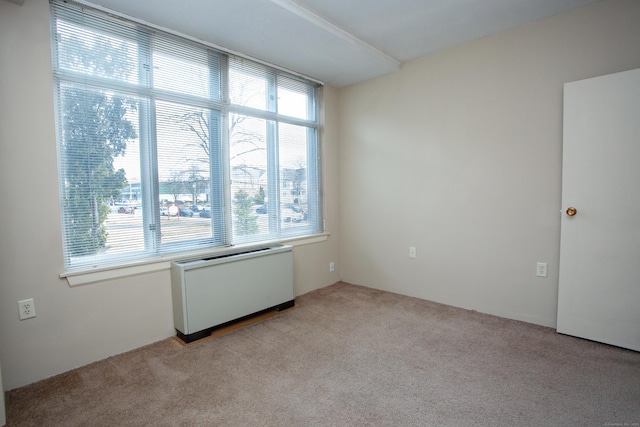 empty room featuring light carpet