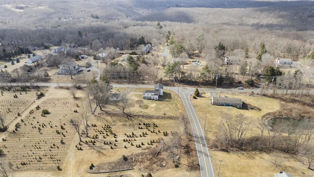 birds eye view of property featuring a rural view and a forest view