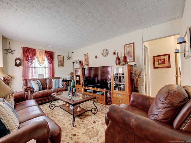 living area featuring wood finished floors and a textured ceiling