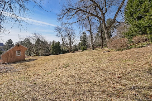 view of yard featuring an outdoor structure