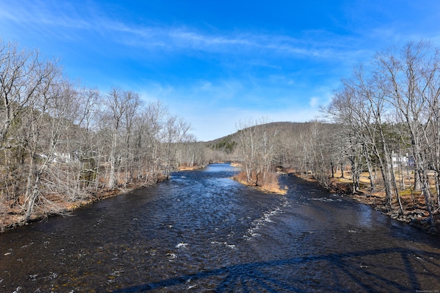 property view of water with a forest view