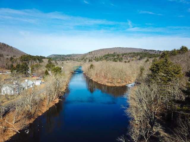 bird's eye view featuring a view of trees and a water and mountain view