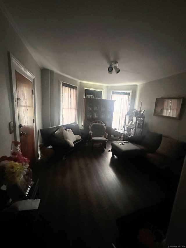 living area featuring wood finished floors