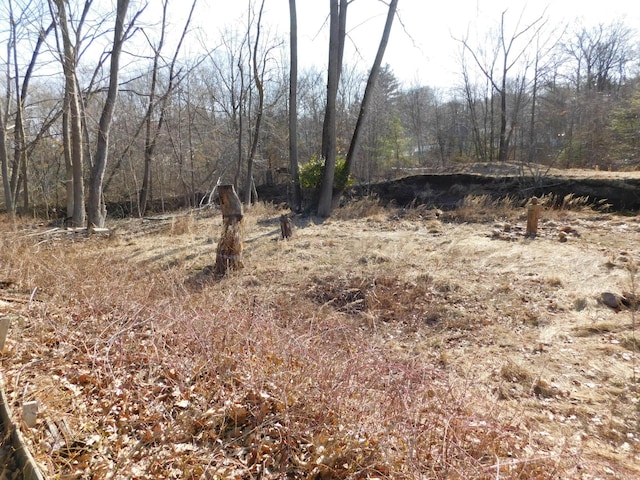 view of local wilderness featuring a view of trees