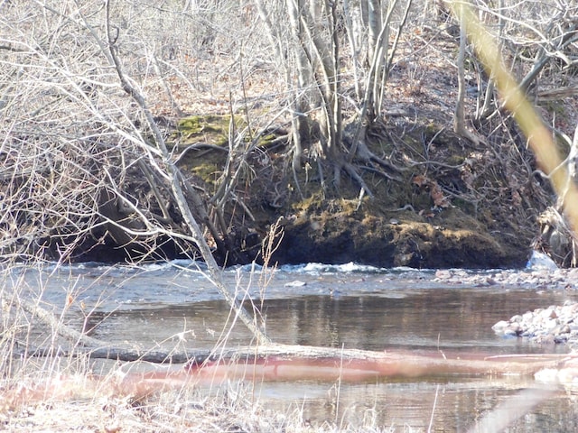 view of landscape with a water view