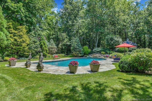 outdoor pool featuring a patio area, a view of trees, and a yard