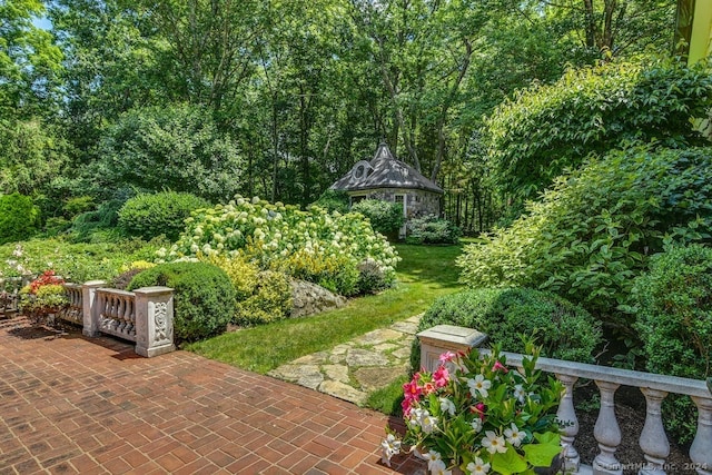 view of yard featuring a patio area