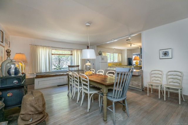 12 Old Forge Hollow Rd, Litchfield, CT 06750 - dining room featuring rail lighting and wood finished floors