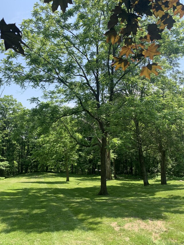 12 Old Forge Hollow Rd, Litchfield, CT 06750 - view of grassy yard