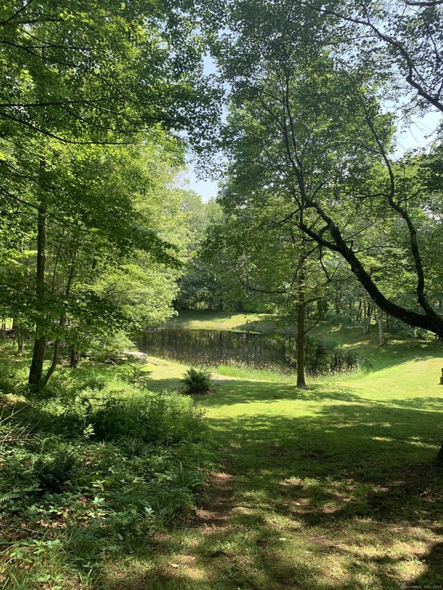 12 Old Forge Hollow Rd, Litchfield, CT 06750 - view of local wilderness with a nearby body of water