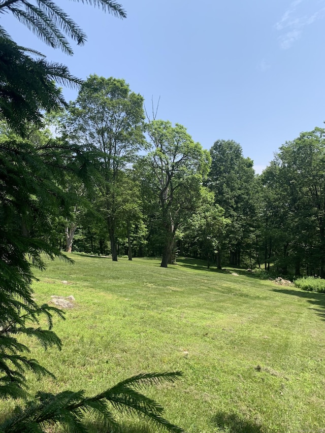 12 Old Forge Hollow Rd, Litchfield, CT 06750 - view of grassy yard