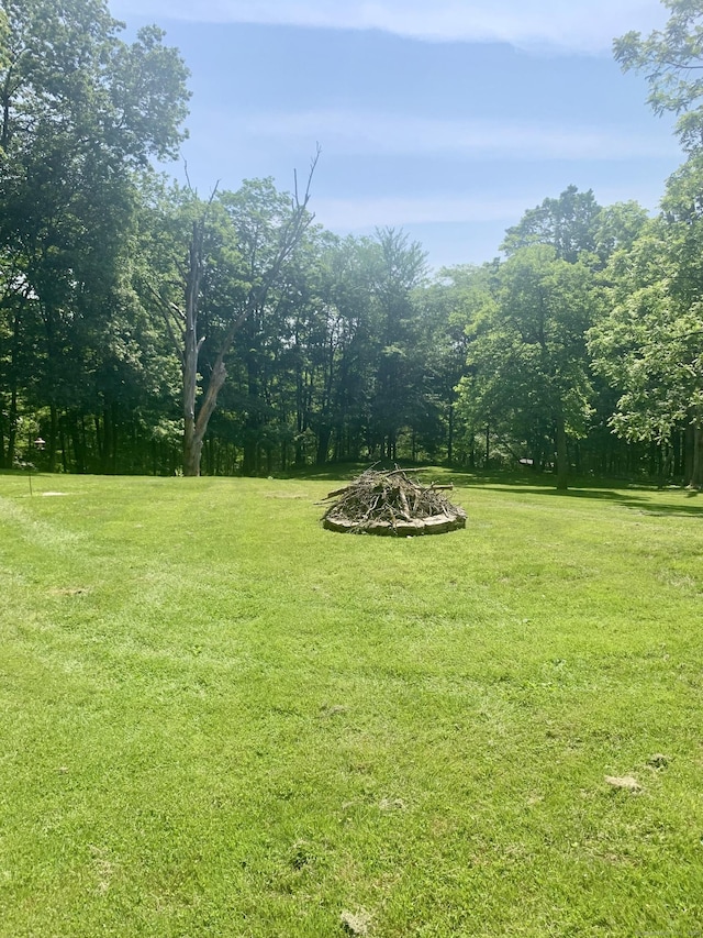 12 Old Forge Hollow Rd, Litchfield, CT 06750 - view of green lawn