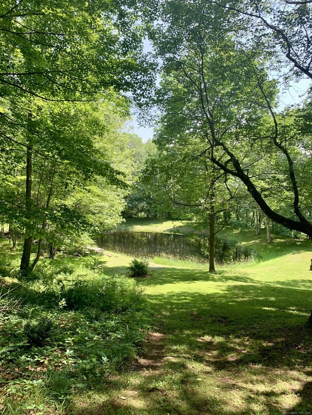 12 Old Forge Hollow Rd, Litchfield, CT 06750 - view of local wilderness with a nearby body of water