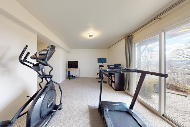 workout area with baseboards and carpet